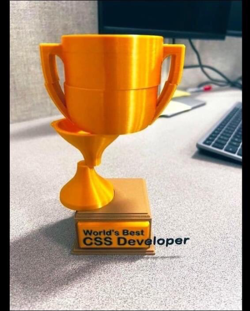 Incorrectly constructed trophy with unaligned text: “worlds best css developer”