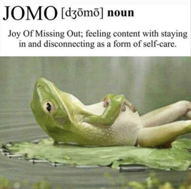 pictures a frog laying on a lily pad on his back, clearly relaxing and living his (or her) best life. writing says JOMO - joy of missing out; feeling content with staying in and disconnecting as a form of self-care. 
