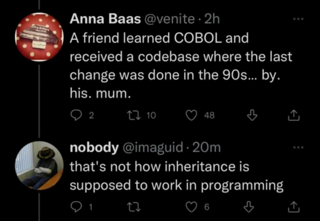 Two posts:

- First one: "A friend learned COBOL and received a code base where the last change was done in the 90s. By. His. Mom."

- Second post: "That's not how inheritance is supposed to work in programming".