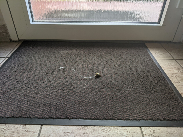 More detailed photo showing only a doormat with a slime trace behind a snail