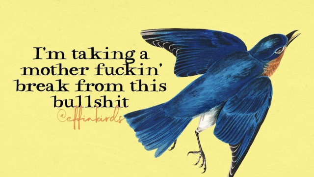 A painting of a bird beside the text "I'm taking a mother fuckin' break from this bullshit"