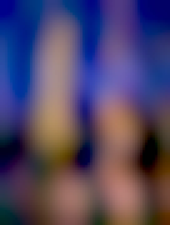 Kayla Eilhart před šikmou věží v Pise.