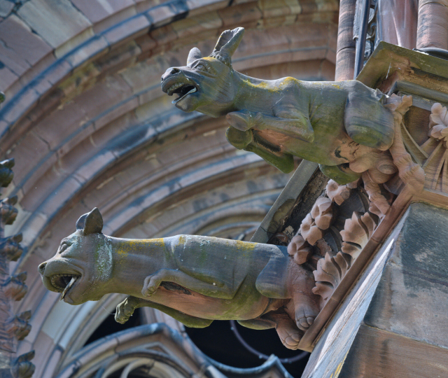 look at the balls on this donkey XD