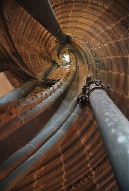 View from below snail towards the top