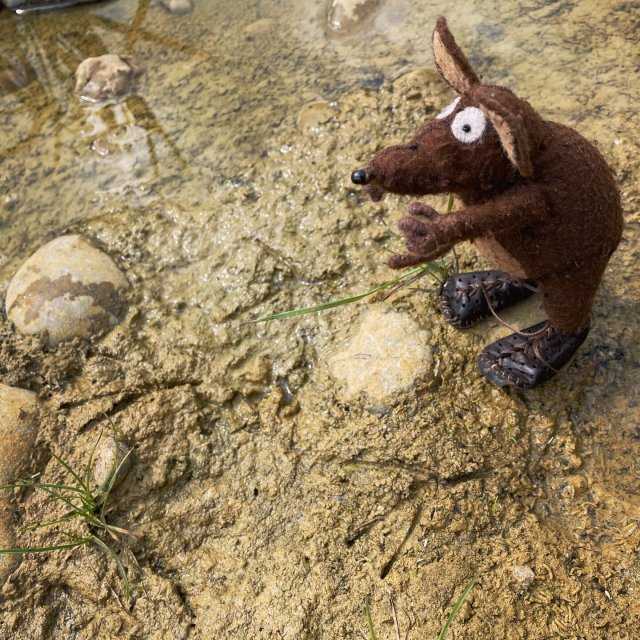 Photo of Minimus the Latin mouse following strange bird tracks in the mud on the edge of a pond