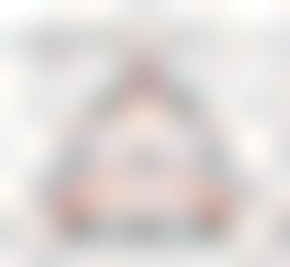 The Declarative Trinity. A triangle with a single additional point in the centre that the other points link to. The diagram can be read as follows. Nix is the operating system, the package manager, and the language. The operating system is not the language. The language is not the package manager. The Package Manager is not the operating system.
