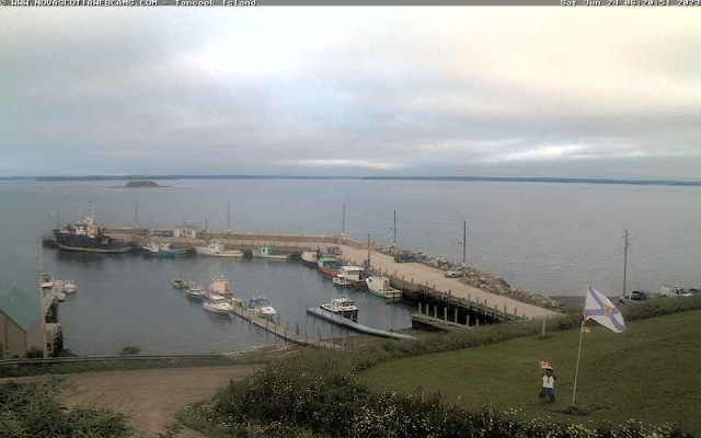 Nova Scotia Webcam view of Tancook Island wharf. An L shaped dock full of fishing boats and one larger Ferry that goes to Chester daily. There's nothing much more to see, it's an overcast morning, rather gloomy as the weather predicted. 