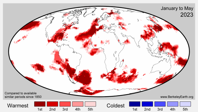 Global map showing temperature rankings at each point on the map for the January to May 2023 period if the area is experiencing the a top 5 warmest year (shown in red) or a top 5 coldest year (shown in blue).
