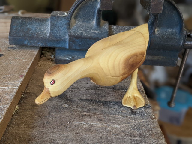 Oie en posture d'attaque 