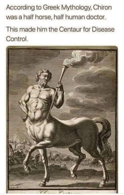 According to Greek Mythology, Chiron was a half horse, half human doctor. 

This makes him the Centaur for Disease Control.