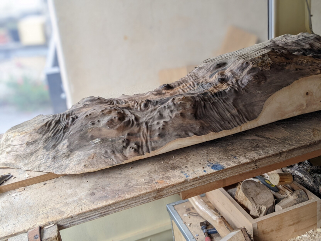 Gigantesque plateau d'orme