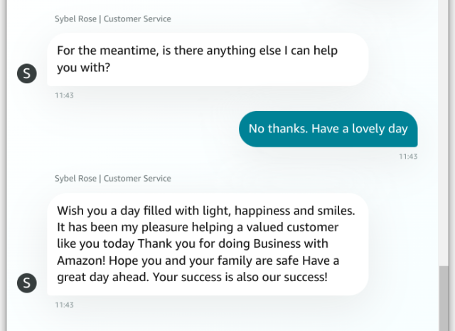 Screenshot of a chat dialogue.

Them: "For the meantime, is there anything else I can help you with?"

Me: "No thanks. Have a lovely day"

Them: "Wish you a day filled with light, happiness and smiles. It has been my pleasure helping a valued customer like you today Thank you for doing Business with Amazon! Hope you and your family are safe Have a great day ahead. Your success is also our success!"