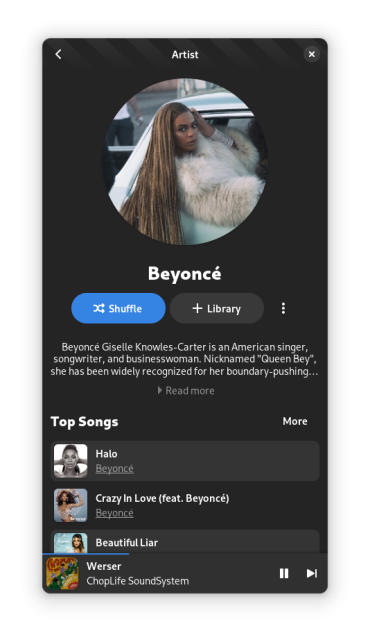 Artist page showing Beyoncé: their avatar, a short intro about them and a few top songs from them