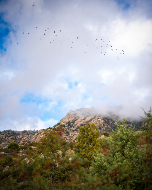 Foto general de una parte de la montaña nublada y una vista de aves en migración. // La Pedriza, zona de El Boalo. Parque Natural de Sierra del Guadarrama. Madrid.