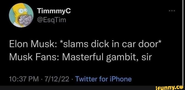 Tweet:

TimmmyC
@EsqTim

Elon Musk: *slams dick in car door*
Musk Fans: Masterful gambit, sir