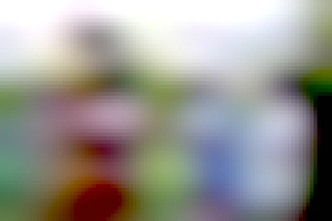 It's the "distracted girlfriend" meme, lesbian edition.  A futchy girl labelled "me" is walking with her nerdy-cool girlfriend, labelled "everything".  The girlfriend looks distraught at the fact that she's ignoring her and looking back to check out a cute girl in a red dress, labelled: "Dwarf Fortress".