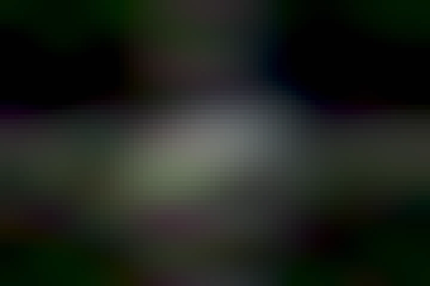 se ve como ponen en los huecos zanahorias