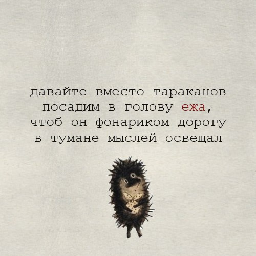 ёжик в тумане