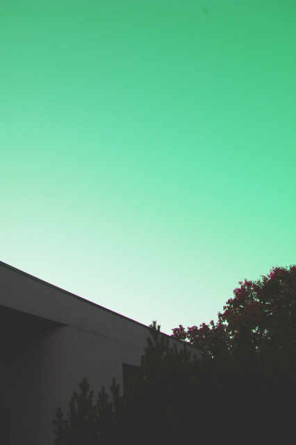 Pale green sky and a dark tree and building 
