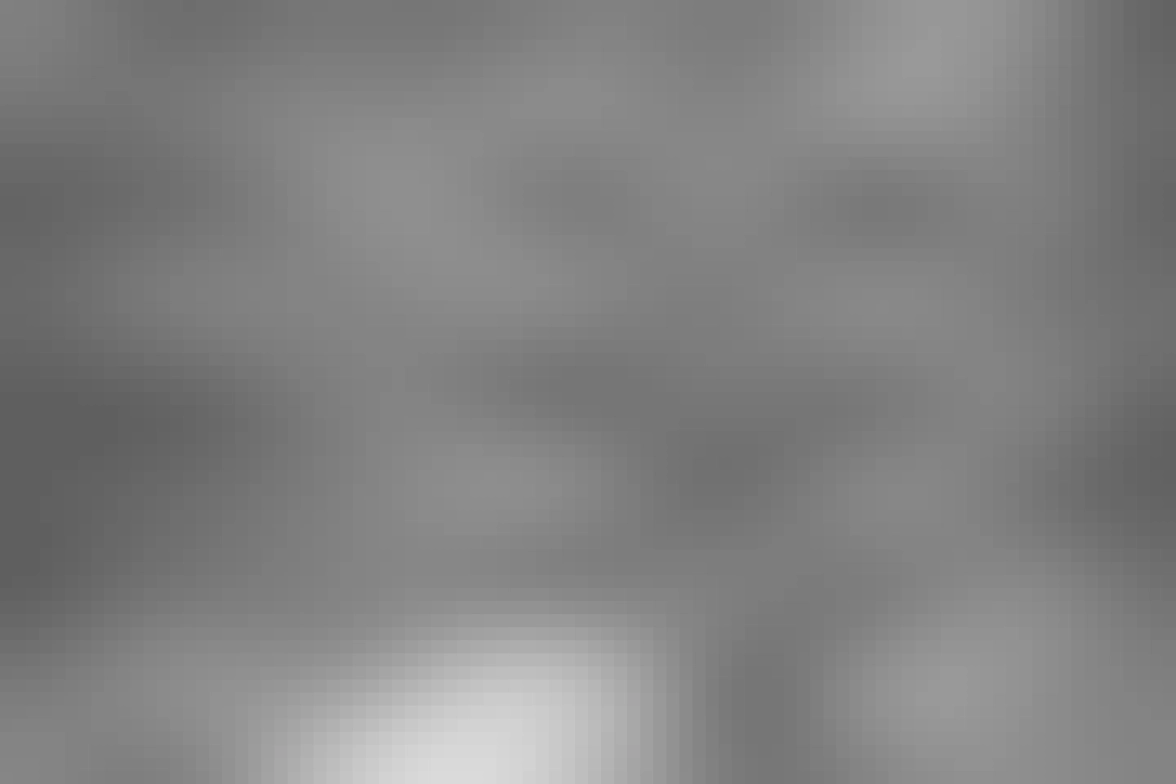 A black and white photograph of a vaulted castle ceilling. Built from tightly packed, slivers of stone there is a section that has fallen and the sky is visible through it. 