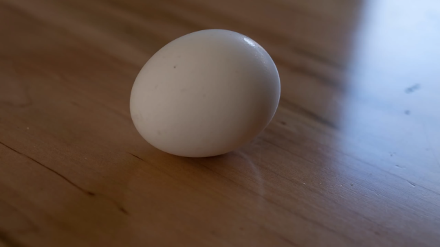 A photograph of an egg on a brown table. As slightly blue-tinted light from a window is reflected on the table to the right.