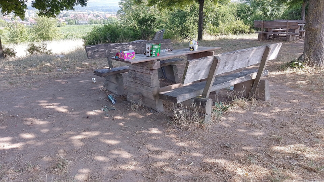 Some assholes had a party and didn't clean up. A board had been ripped from the picnic table, and broken glass litters the ground.