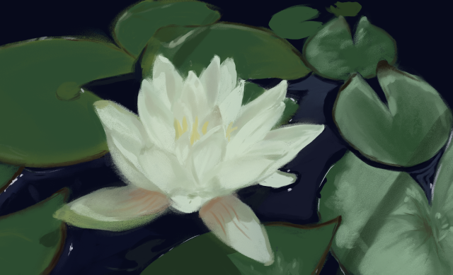 A white flower on a pond, surrounded by green lily pads