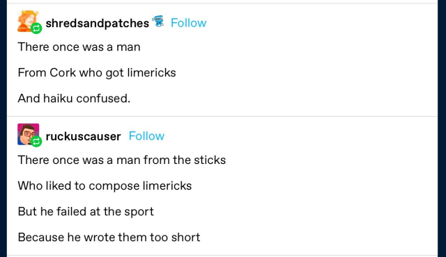 shredsandpatches: 
There once was a man 
From Cork who got limericks 
And haiku confused. 

ruckuscauser: 
There once was a man from the sticks 
Who liked to compose limericks 
But he failed at the sport 
Because he wrote them too short