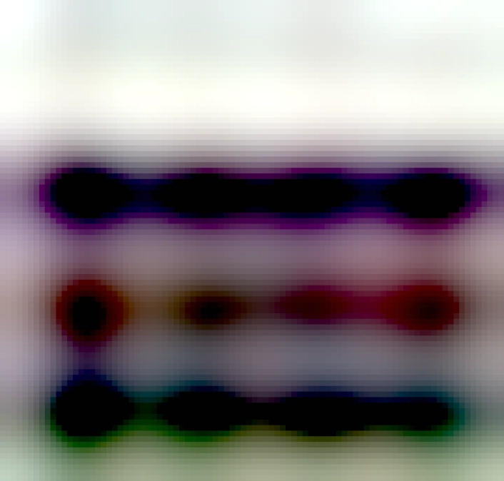 A: This summer is too hot
B: Have you ever planted trees?
A: No
B: "Be a lot cooler if you did" line from Dazed and Confused