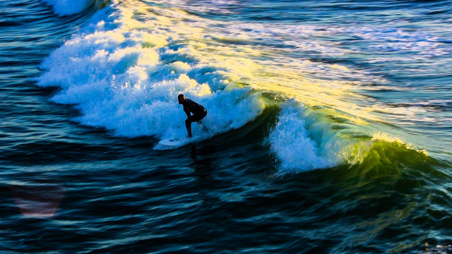 Surfer
Ocean Beach, San Diego 