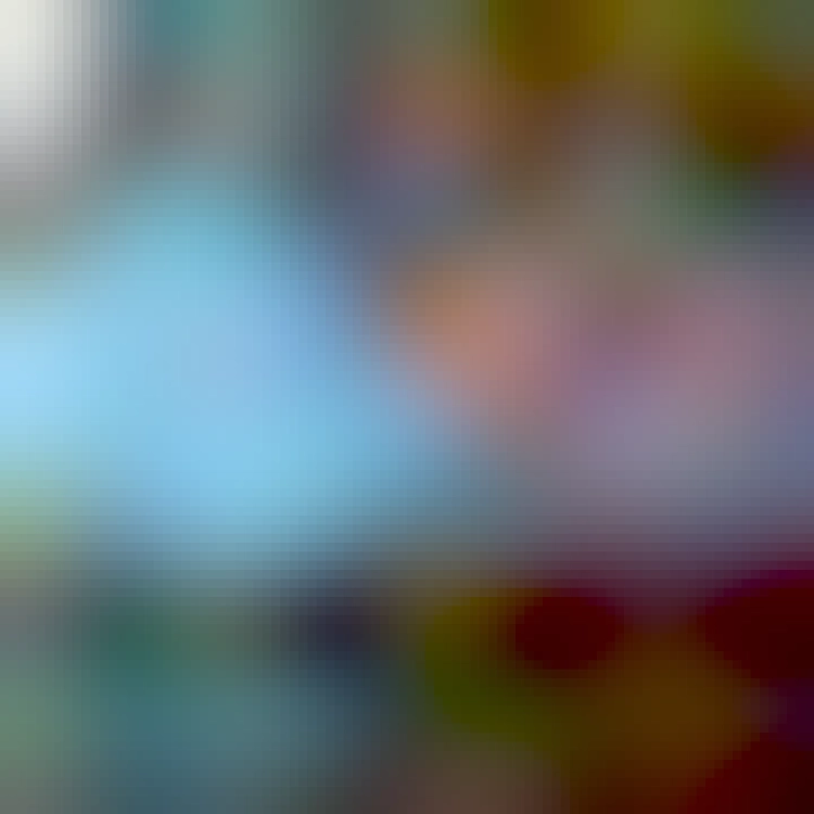 A homeless person's tent under a freeway underpass. From it emerges the bear from the California state flag.

Image:
Wonderlane (modified)
https://www.flickr.com/photos/71401718@N00/34328251571

CC BY 2.0
https://creativecommons.org/licenses/by/2.0/