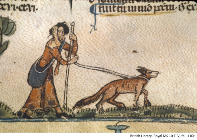 A colour drawing of walking man carrying a blue shoulder bag and holding a staff upright, on the left. He is led by a brown dog on a lead, on the right. The dog has a white muzzle, pointed upright ears, and a long tail with long fur. (From the 13th century Decretals of Gregory IX, in the British Library)