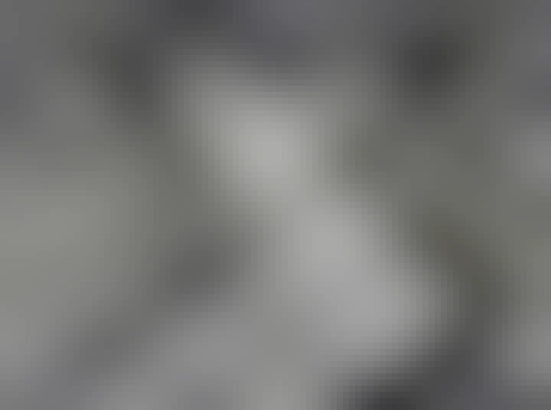 Rabbit on security camera 