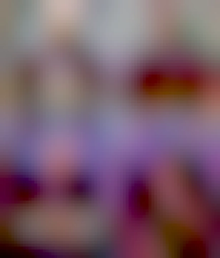 Two panel Picard and riker meme. Top panel shows Picard and riker at a table. Bottom panel shows Picard and riker with riker facepalming. Text (top to bottom):
Picard: I've adopted a pet termite. I'm calling I'm Clint.
Picard: Clint Eatswood