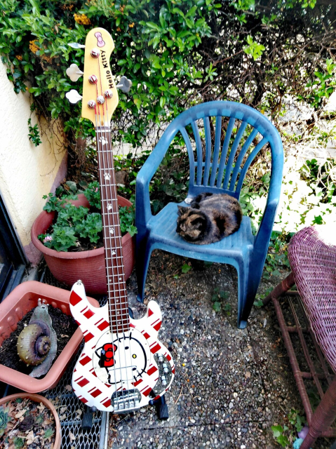 Stingkitty bass guitar. With real kitty Cleo (RIP) and giant snail.