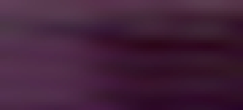 Terminal output listing the generated videos