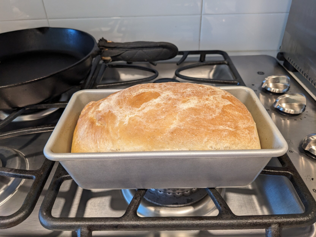 Golden white sandwich loaf in a 1lb loaf pan. It's surprisingly consistent and smooth topped given that I haven't baked in a year.