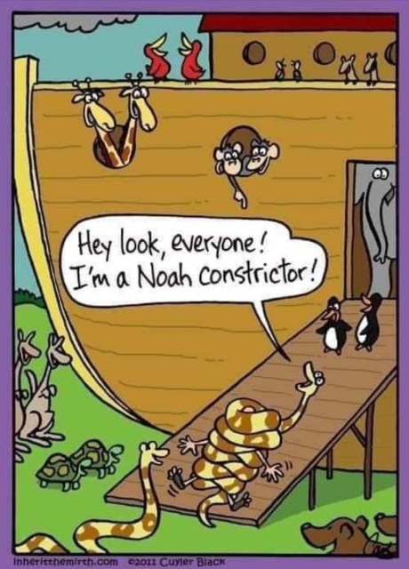 Cartoon of Noah's Ark - several animals looking on with mirth as a large snake has someone wrapped in coils.  Snake is saying "Hey look, everyone! I'm a Noah Constrictor!"  