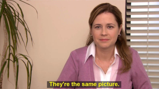 The meme from the show The Office saying: "They're the same picture".