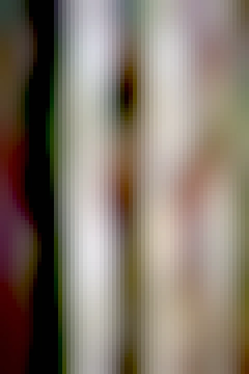 Two pretty young women in lingerie and stockings, posing together like mannequins. There is a suggestive, erotic air to the scene.