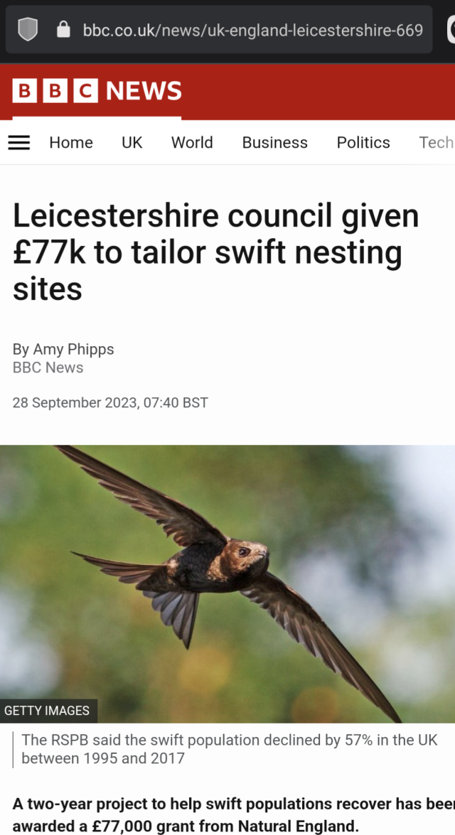 Screenshot of an article from BBC News with the headline "Leicestershire council given £77k to tailor swift nesting sites". That's Tailor spelt T A I L O R (as in customised) and Swift as in the birds. They haven't been given money to make a home for the singer Taylor Swift. That would be silly...