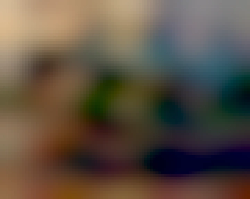 Brown tabby kitten reclining on a couch 