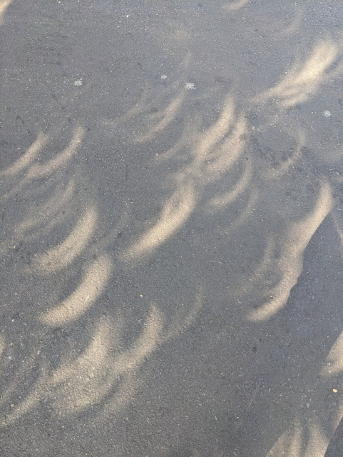 bright crescents on the ground