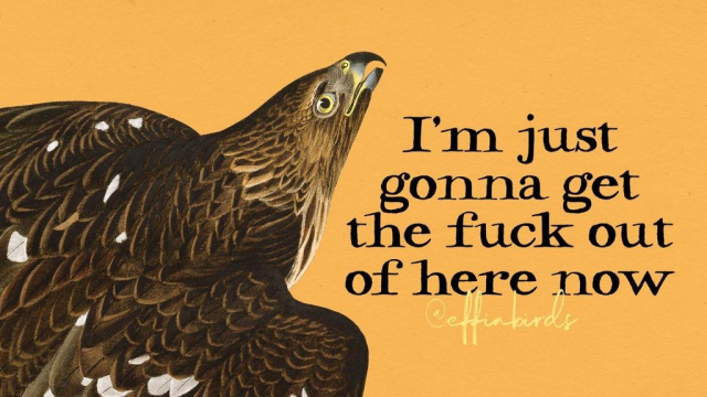 A painting of a bird beside the text "I'm just gonna get the fuck out of here now"