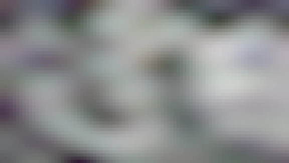 Diferentes tipos de lentes fotográficos y lentes de filtro solar para poder observar el evento del eclipse del 14 de Octubre del 2023.