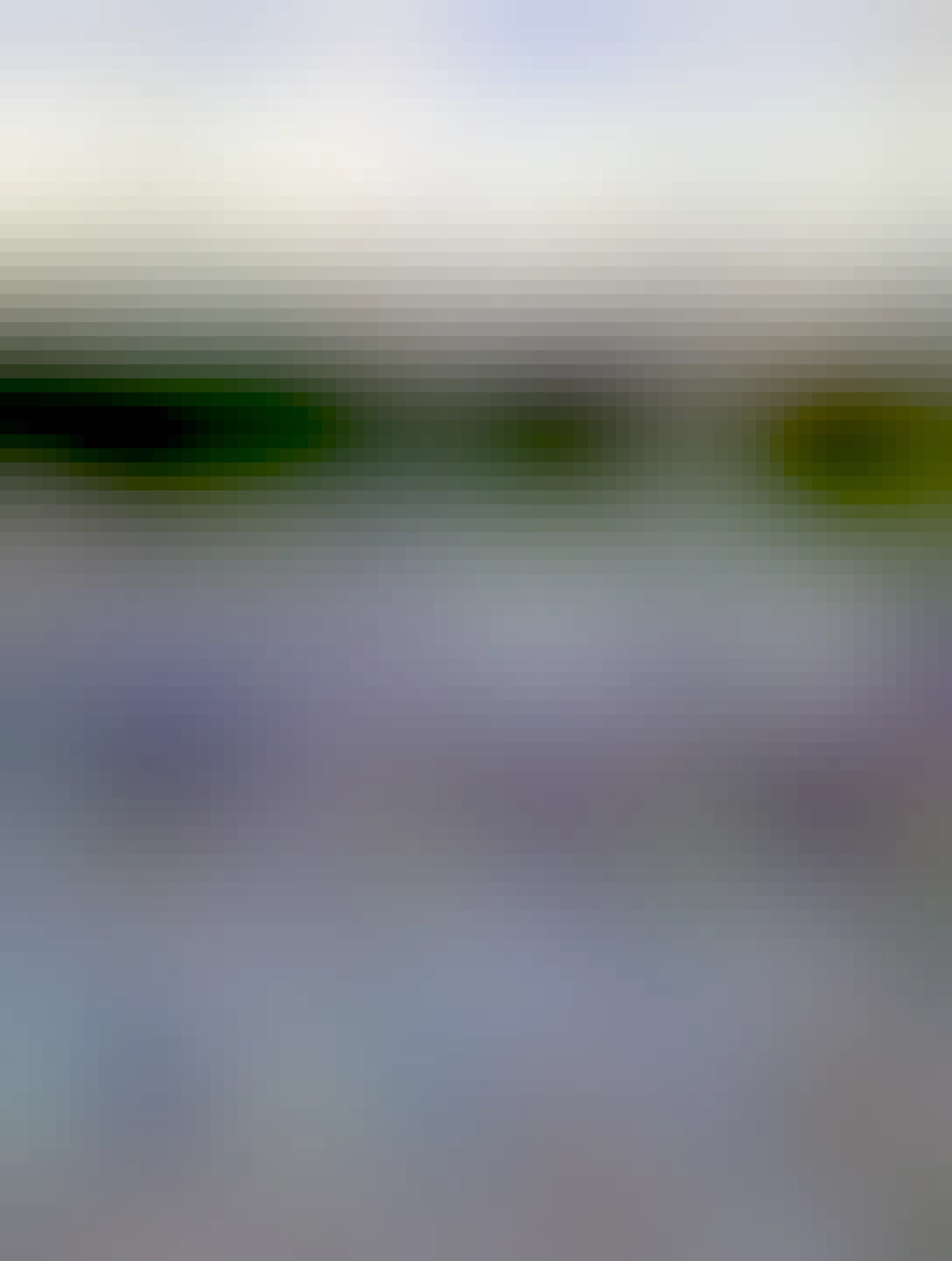 schody, ja neviem, sú biele dlhé postupné majú plochy na odddych medzi nimi ako sa schádza dole, gulaté tvary stromov, pozdĺž štrkového chodníku,.. celé je to nevkusné, stromy, kmene stromov idú rovno z štrku