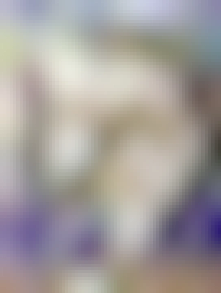 Fík v pelechu, na terase pod stolem.