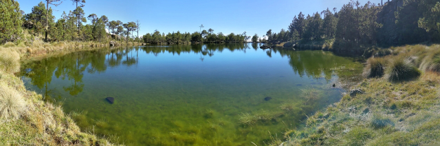 vista panorámica de la laguna. No es gigantesca, más bien tendrá unos 50 metros de diámetro y por mucho un metro de profundidad. Dicen los locales que se llega a secar completamente. Alrededor hay pastizales y pinos.
