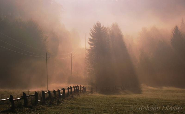 Zamlžená, deštivá fotka. Je na ní část Velké louky, kde je hřebčín. Na snímku je část oplocení kolem cesty, doprovázené dřevěnými sloupy s elektrický vedením. To se ztrácí v mlze. Dominantou záběru je skupinka několika smrků, zavětvených až k zemi. Jejich okraje se rozplývají v mlze. Fotka je pořízená proti slunci, mlhou prostupují paprsky, celá fotka je laděná do teplých barev.