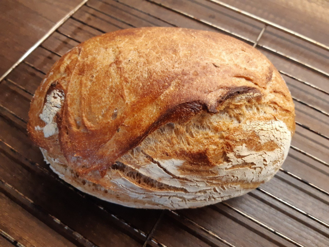 domácí chleba